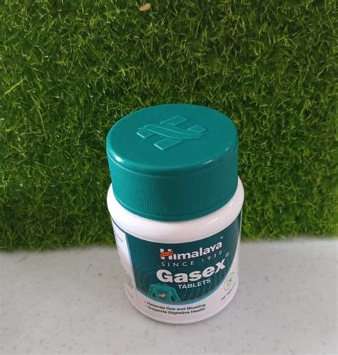 (Expiry: 10/2026) HIMALAYA Gasex Tablets 100 (Improves digestion ...