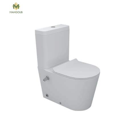 Toilet Set Sticking To The Wall Titan With Toilet Tank And Toilet Seat