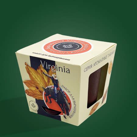 Студия иллюстрации и дизайна 4 ЧАЙКИ