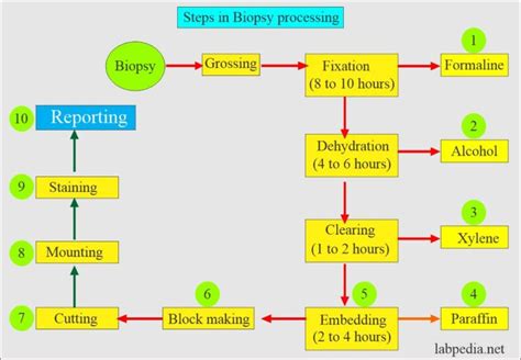 Surgical Pathology Part 2 Types Of Biopsies