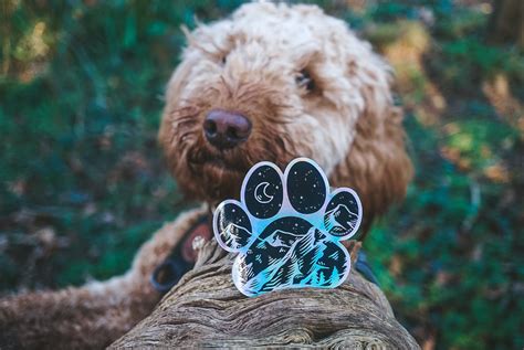 Adventure Paws Holographic Sticker – National Park Print Shop