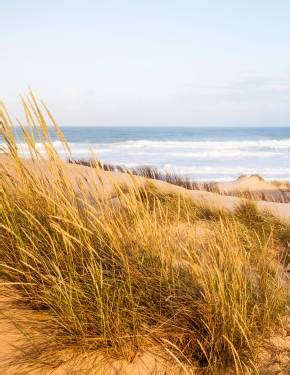 New Orleans World Naked Bike Ride Rove Me