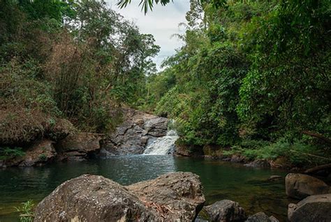 Khao Sok Waterfall Tours Discover Thailands Hidden Gems Khaosok Travel