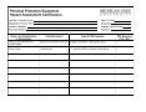 Ppe Assessment Form