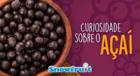 Curiosidade Sobre O Açaí - Curiosidades sobre o Açaí - Snowfruit - Fábrica de Sorvetes
