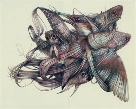 The Assault Marco Mazzoni Illustration Pencil Drawings