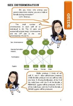 Genetics And Heredity Sex Determination Worksheet By Ms Jannie