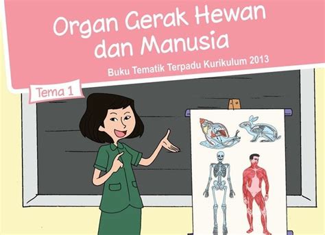 Soal Dan Kunci Jawaban Tema Organ Gerak Hewan Dan Manusia Kelas Sd