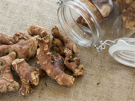 КАЛГАН - лечебные свойства и противопоказания, фото травы