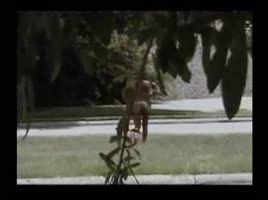 Black Woman Naked Public Dare Shesfreaky