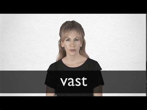 Deutsche Übersetzung von “VAST” | Collins Englisch-Deutsch Wörterbuch
