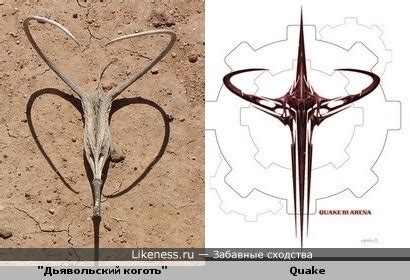 "Дьявольский коготь"(Мартиния душистая) и Quake III: Arena :: Забавные ...