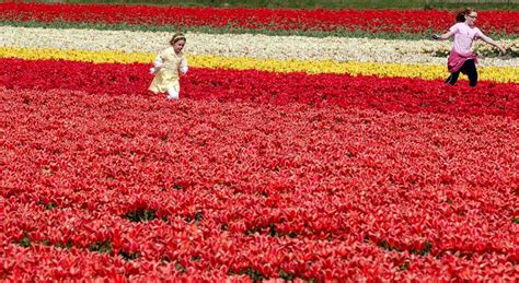 Top 10 Unbelievably Beautiful Places To Visit Before You Die Photos