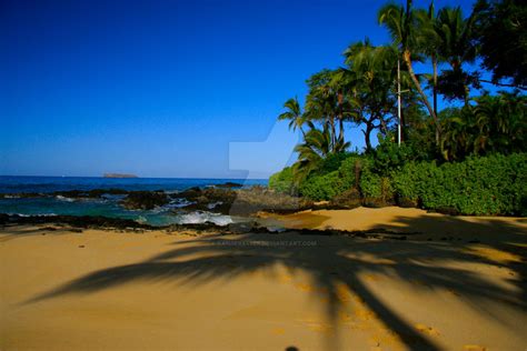 Hawaiian Peace By Ranger849er On Deviantart