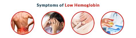 Low Haemoglobin Anemia Symptoms And Foods That Increase Hemoglobin