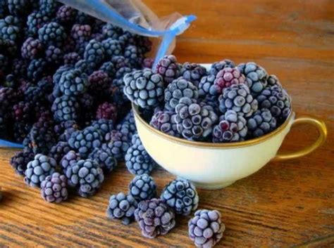 Ежевика замороженная – заморозить целиком и перетёртую с сахаром и без ...