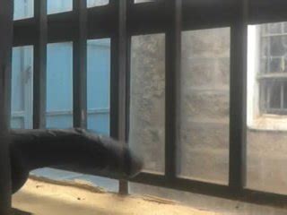 差点被抓到从窗户抽搐 Pornhub Gay