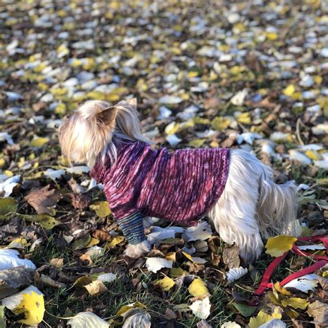 Примеры работ - Три барашка