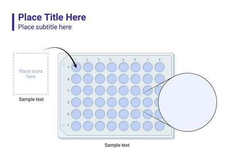 48 Well Culture Plate with Callout (Layout) | BioRender Science Templates