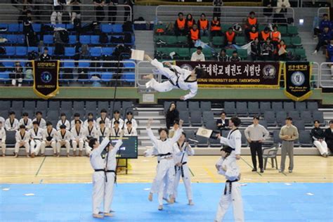 고신대 태권도선교학과 상지대 총장배 태권도 대회 금·은·동