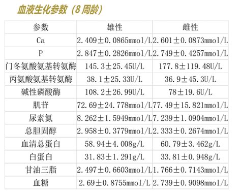 BALB c nude 免疫缺陷小鼠 维通达生物技术有限公司