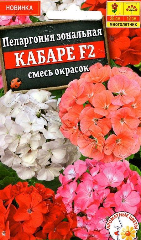 Купить семена герани (пеларгонии) в интернет-магазине по низким ценам