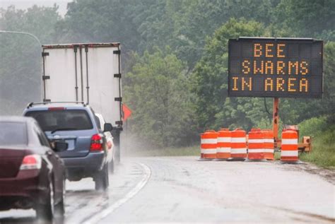 bees delaware  million bees escape  overturned truck  newark