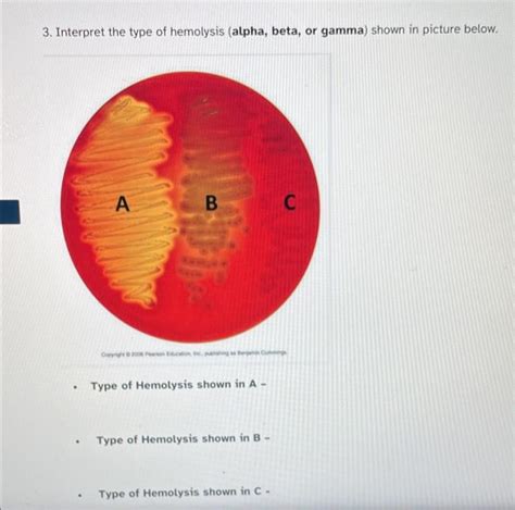 Solved 3. Interpret the type of hemolysis (alpha, beta, or | Chegg.com