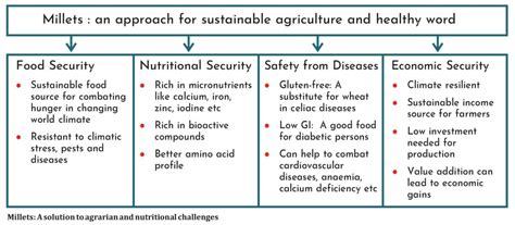 millets recipe  environmental resilience