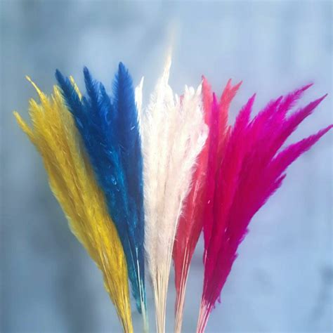 jual bunga ilalangpampas minibunga kering shopee indonesia