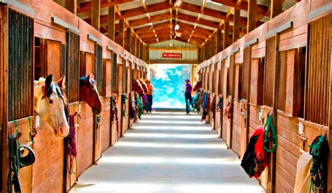 Haras De Aldeia I - Organização do haras