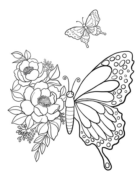 Butterfly Coloring Pages By Number