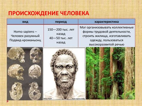 Что делает человека человеком - презентация онлайн