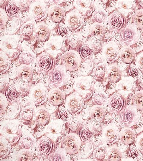 Blush Floral Wallpapers Top Free Blush Floral Backgrounds