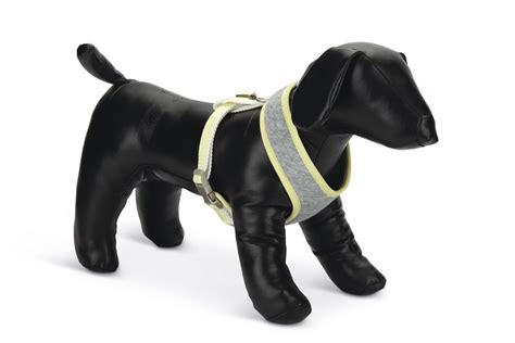 Puppy products - Beeztees