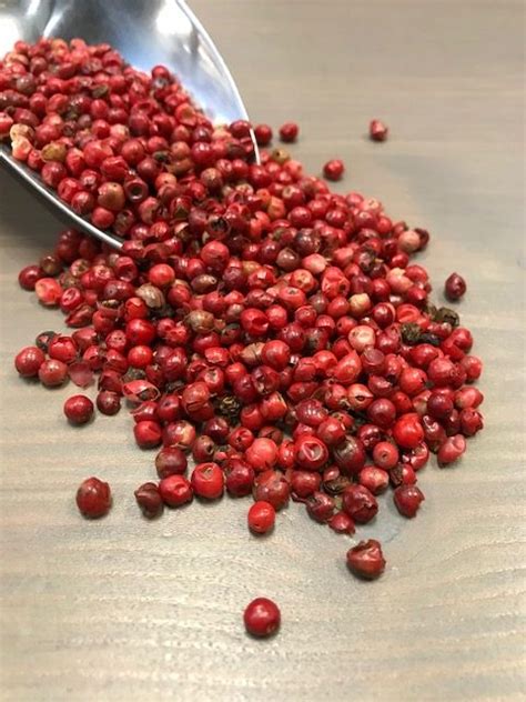 Rozi papar zrno – Farma