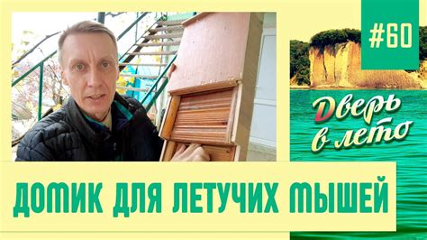 Домик для летучих мышей / Мангал / Дом Яни в Туапсе / Дневник погоды в ...