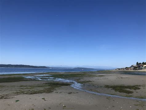 Vashon Passenger Ferry: Terminal Info and Sailing Schedule 17
