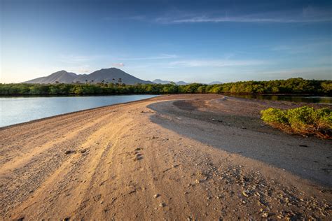 Taman Nasional Baluran Surganya Wisata Alam Di Banyuwangi