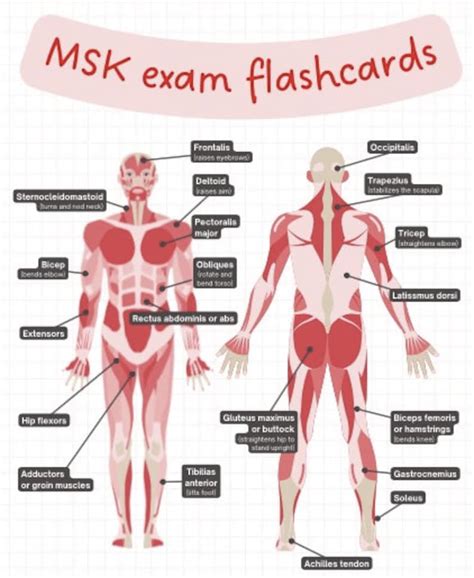 msk musculoskeletal exam flashcards spinal foot ankle wrist hand