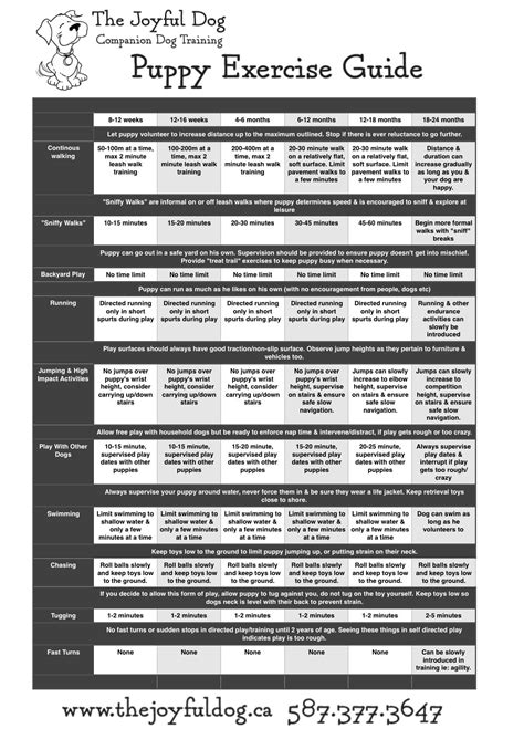 puppy exercise guide  joyful dog puppy training schedule puppy training dog training
