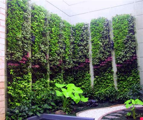 vertical garden malang tukang vertical garden makang niki garden