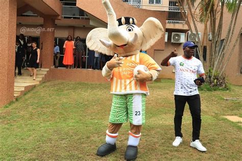 CAN 2023 la mascotte Akwaba célèbre la victoire des Eléphants de Côte