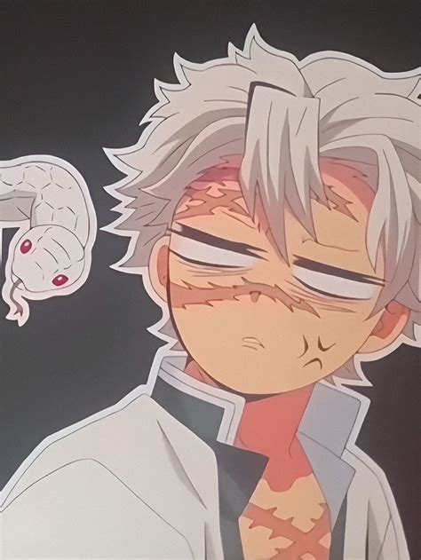 Sanemi Y Genya Artofit