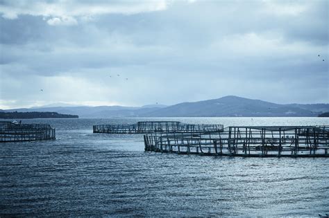 company huon aqua