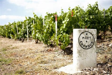Winery Moet Chandon Exterior Free Stock Photo Free Images