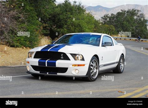 2007 Mustang Cobra