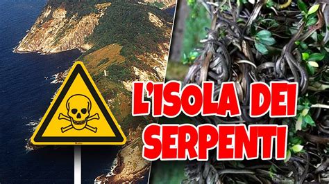 L Isola Dei Serpenti Il Luogo Piu Letale Del Pianeta Storie Horror