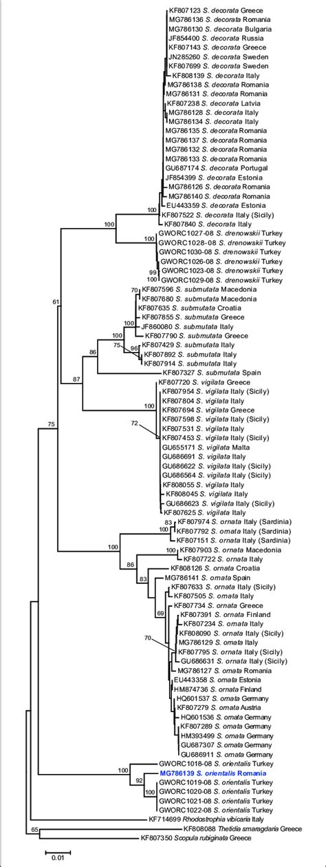Neighbor-joining tree based on COI sequences highlighting (bold blue ...