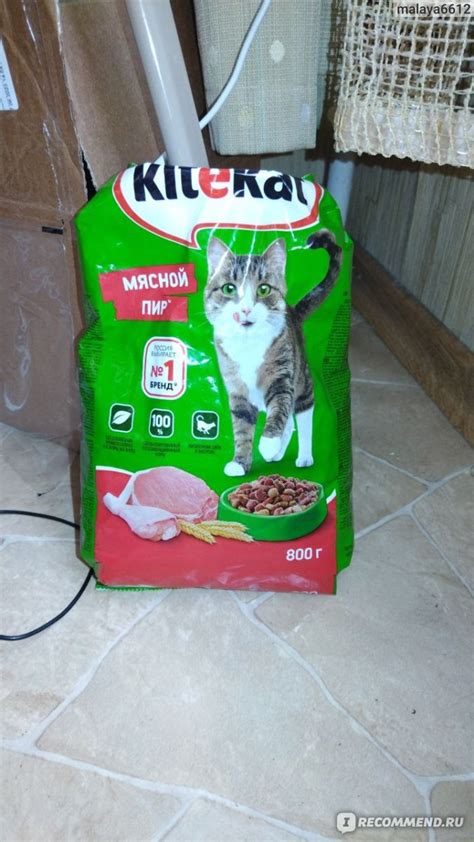Корм для кошек Kitekat Мясной пир - «Прекрасный корм» | отзывы